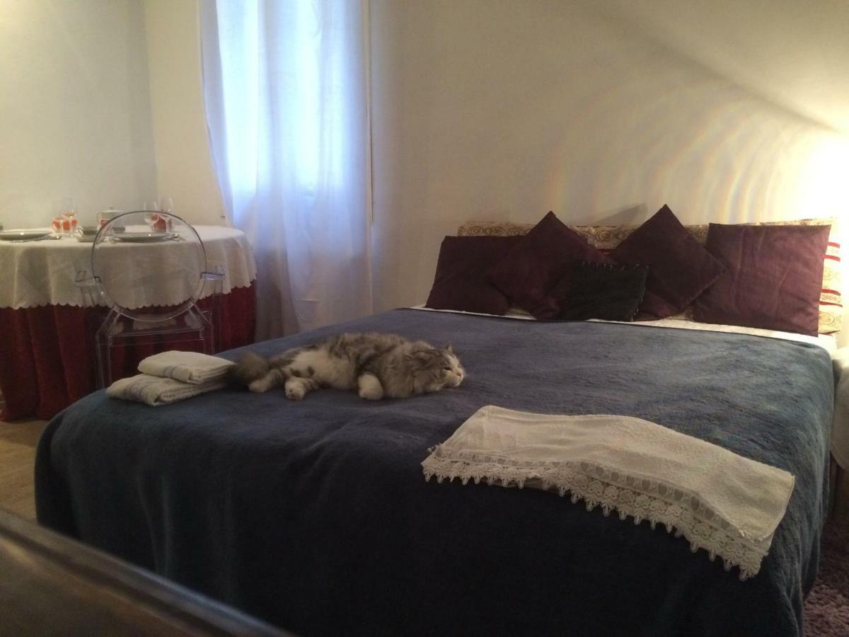 Apartamento Casettaveneziana02704 *